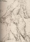 Study of nude